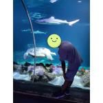 SeaLife9.jpg